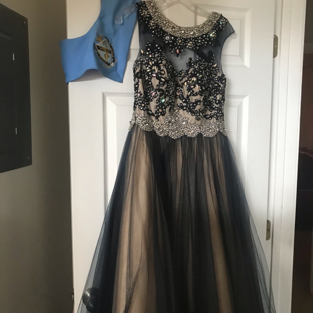 princess ball gown